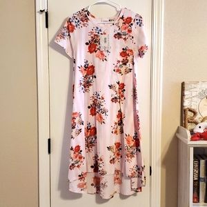 NWT LulaRoe Carly dress Women's Size Small Light Pink/White stripes with floral